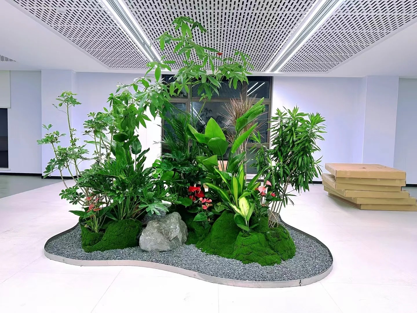 专业植物租赁，让宁波镇海焕发生机